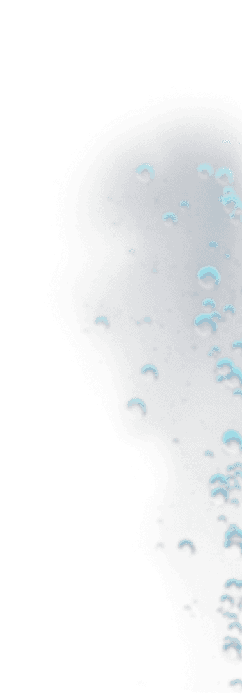 bg-bottom