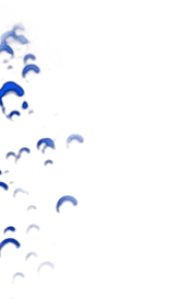 bg-bottom