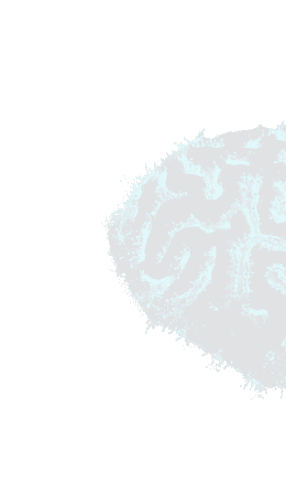 logo-footer